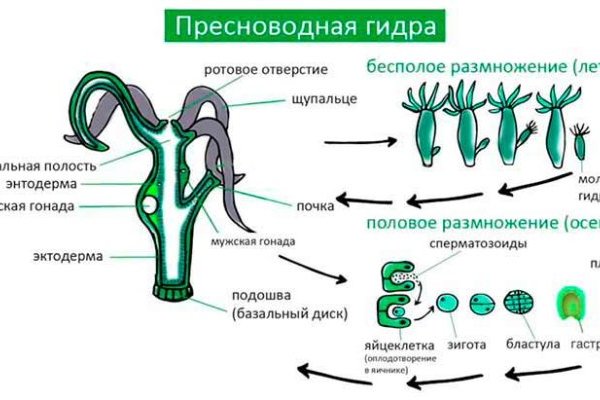 Ссылка на кракен тор магазин