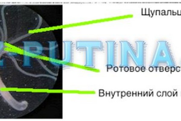 Где найти ссылку кракен