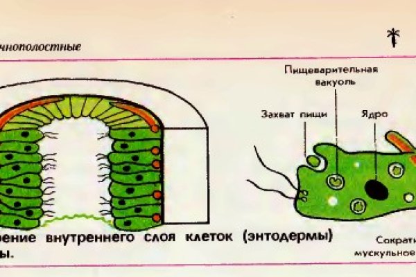 Кракен ссылки тор рабочая