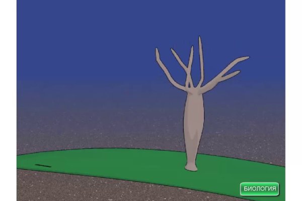 Кракен сайт kr2web