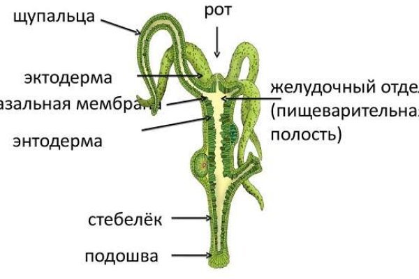 Кракен сайт для наркоманов