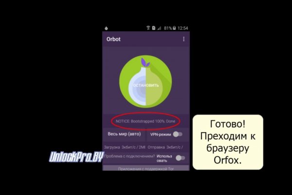 Рабочая ссылка на кракен в торе