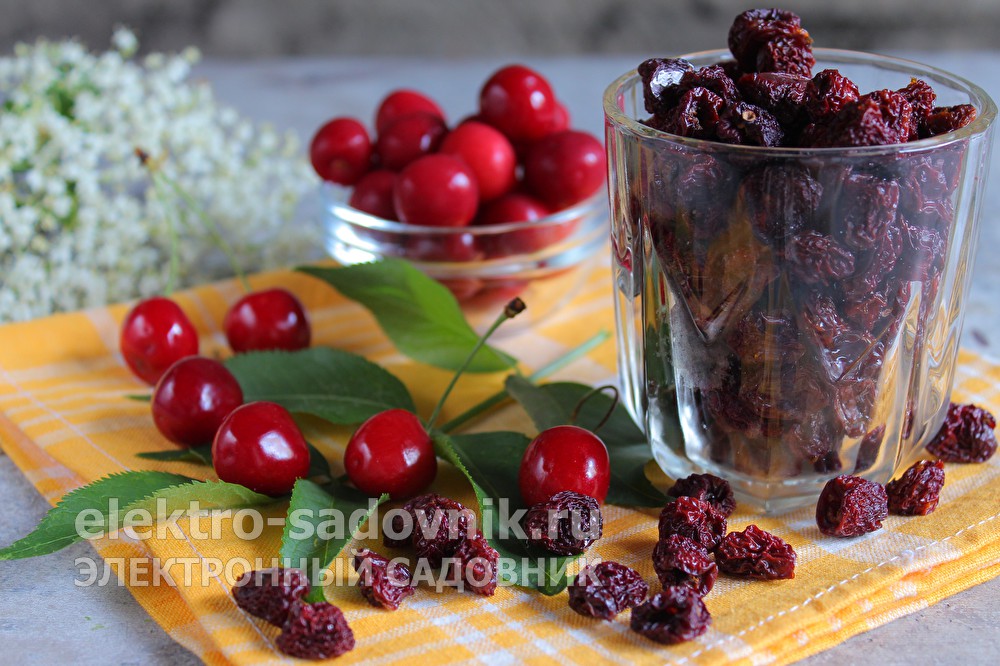 Ссылки на кракен мегу